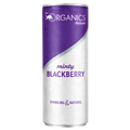 The Organics by Red Bull Minty Blackberry
